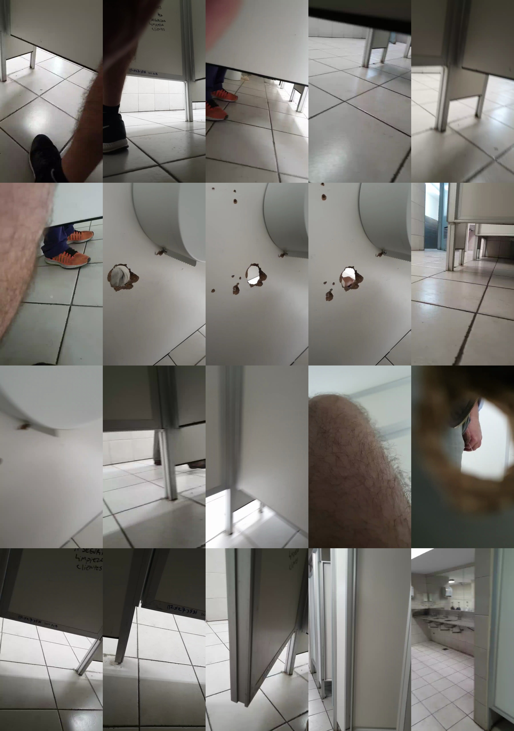 tigredebengala  12-04-2022